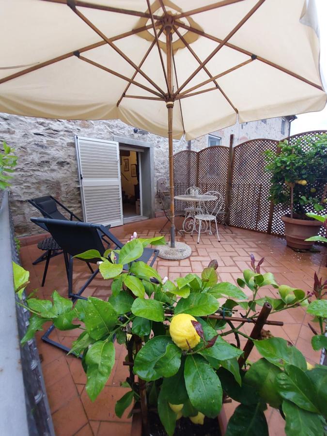 Casina Laura Villa Capannori Ngoại thất bức ảnh